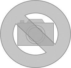 DIETZEL STU 50-04S Steigtrasse mittelschwer svz. L=6m B=0,4