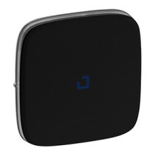 LEGRAND 755088 V.All Wippe Ktrl.Aussch. SW