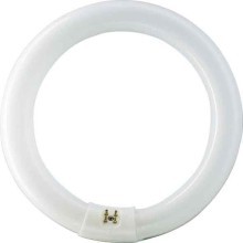 PHILIPS LICHT TLE 32W/830 Leuchtstofflampe 32W 830 G10qD26/L304mm Ring 308mm