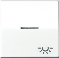 JUNG AS591KO5LWW Wippe m.Symbol Licht KO