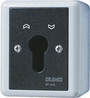 JUNG 833.18G chlüsselschalter