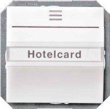 SIEMENS LP 5TG4821 Delta I-Sys. Hotelcard-Schalter bel. alm