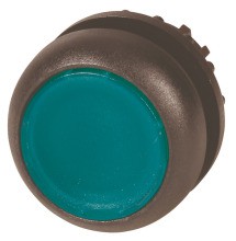 EATON M22S-DL-G Leuchtdrucktaste,flach,grün