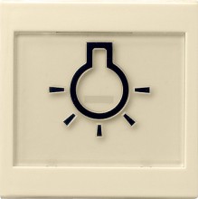 GIRA 021601 Wippe abtastbar BSF Symbol Licht Sys55 cws