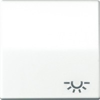 JUNG AS591L Wippe m.Symbol Licht