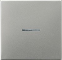 JUNG ES2990KO5 Wippe f.Schalter/Taster KO