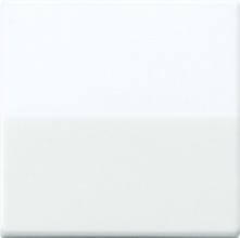 JUNG AS591 Wippe f.Schalter/Taster