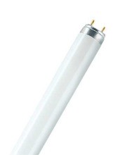 OSRAM L 36W/67