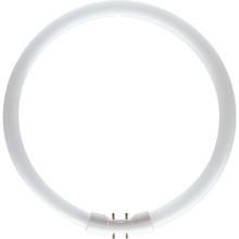 PHILIPS LICHT TL5C 55W/840 Leuchtstofflampe 55W 840 2GX13 D18/L305mm Ring 272mm