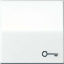 JUNG AS591TWW Wippe m.Symbol Tür