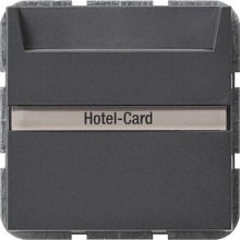 GIRA 014028 Hotel Card Taster BSF Sys55 ant