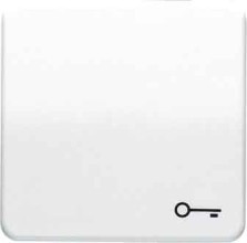 JUNG CD590TGR Wippe m.Symbol Tür